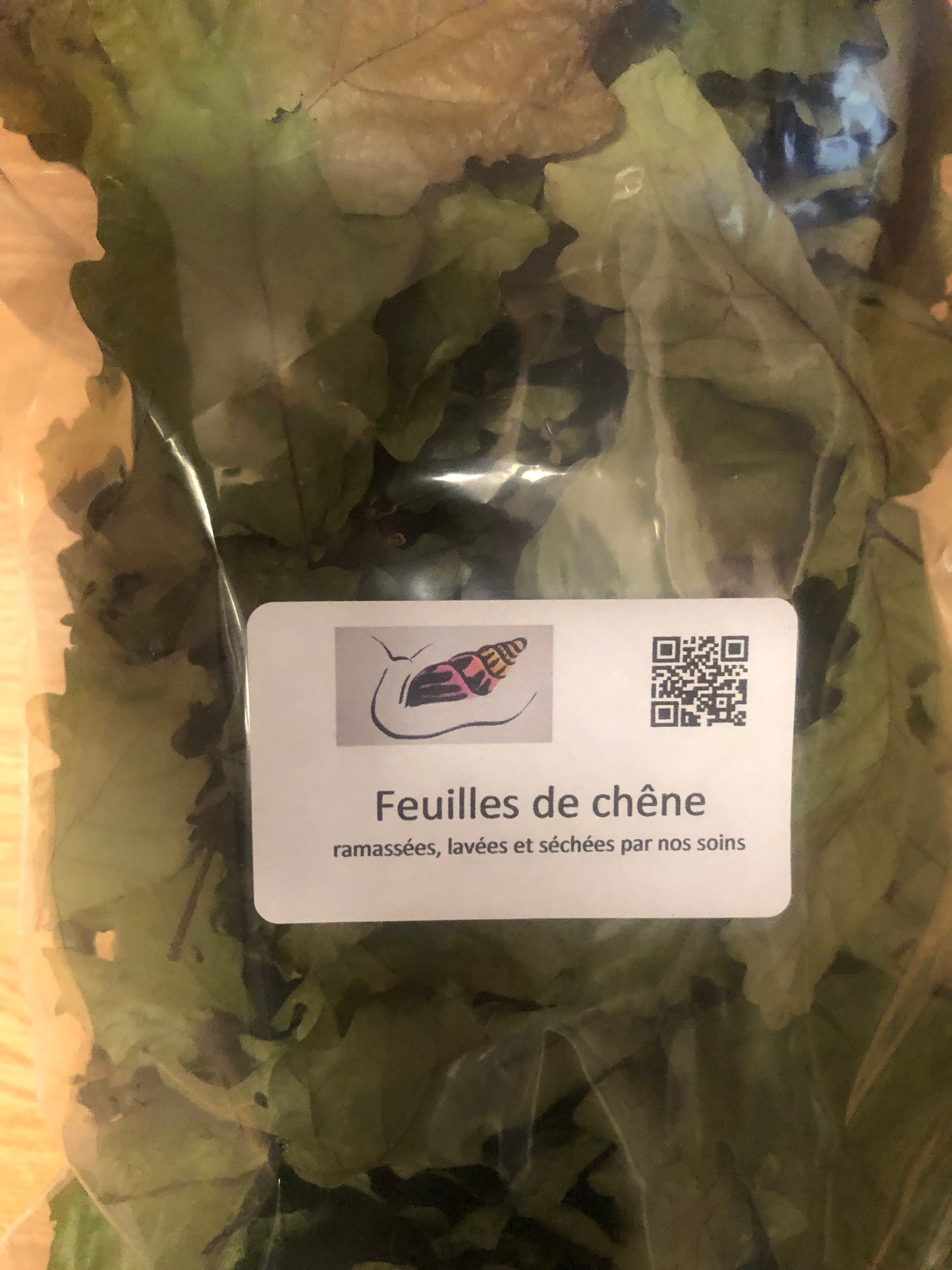 Feuilles de chêne