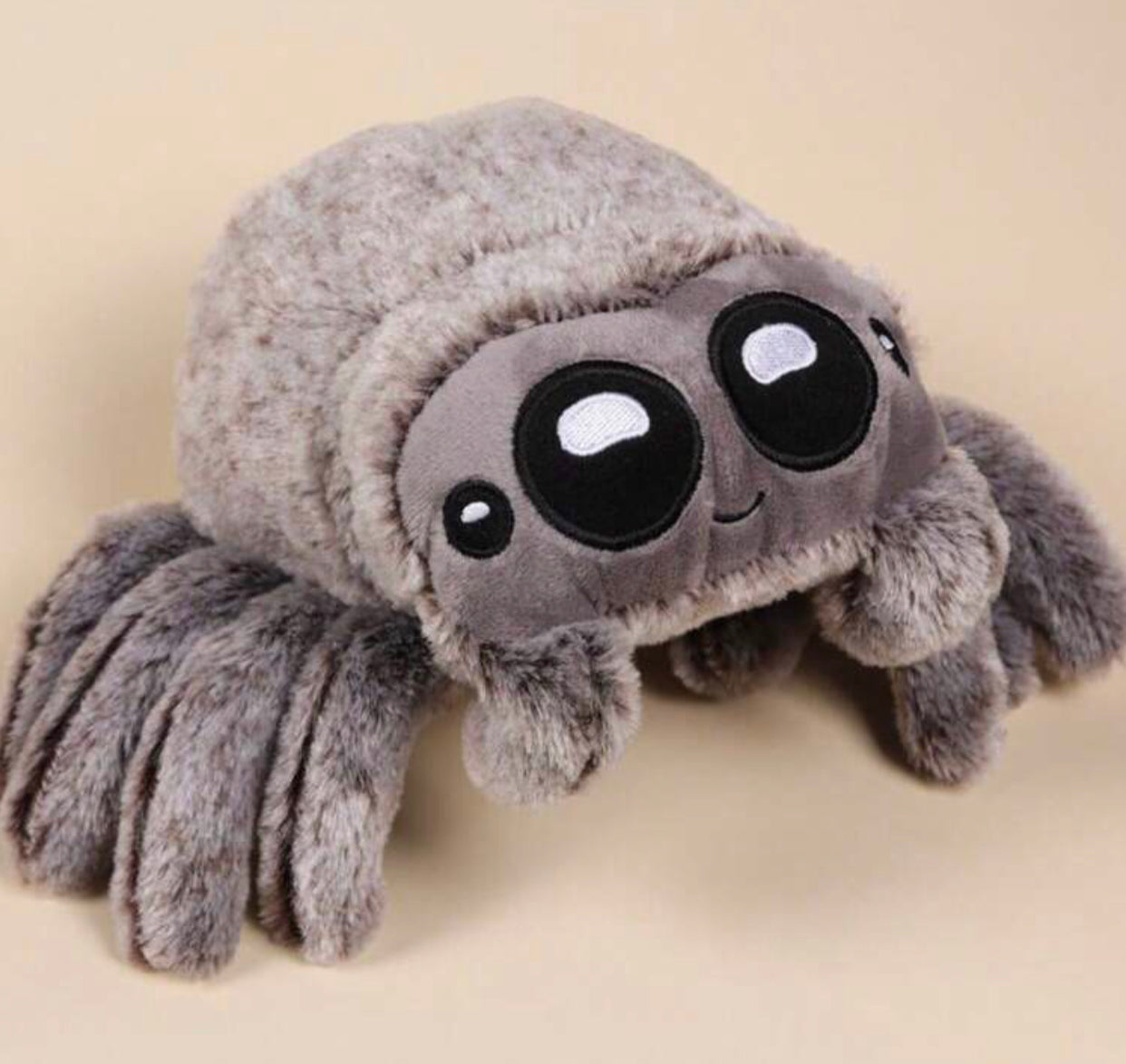 Peluche phidippus regius