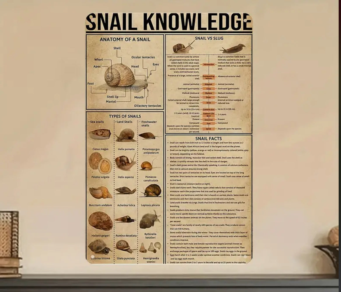 Plaque métallique vintage snail knowledge