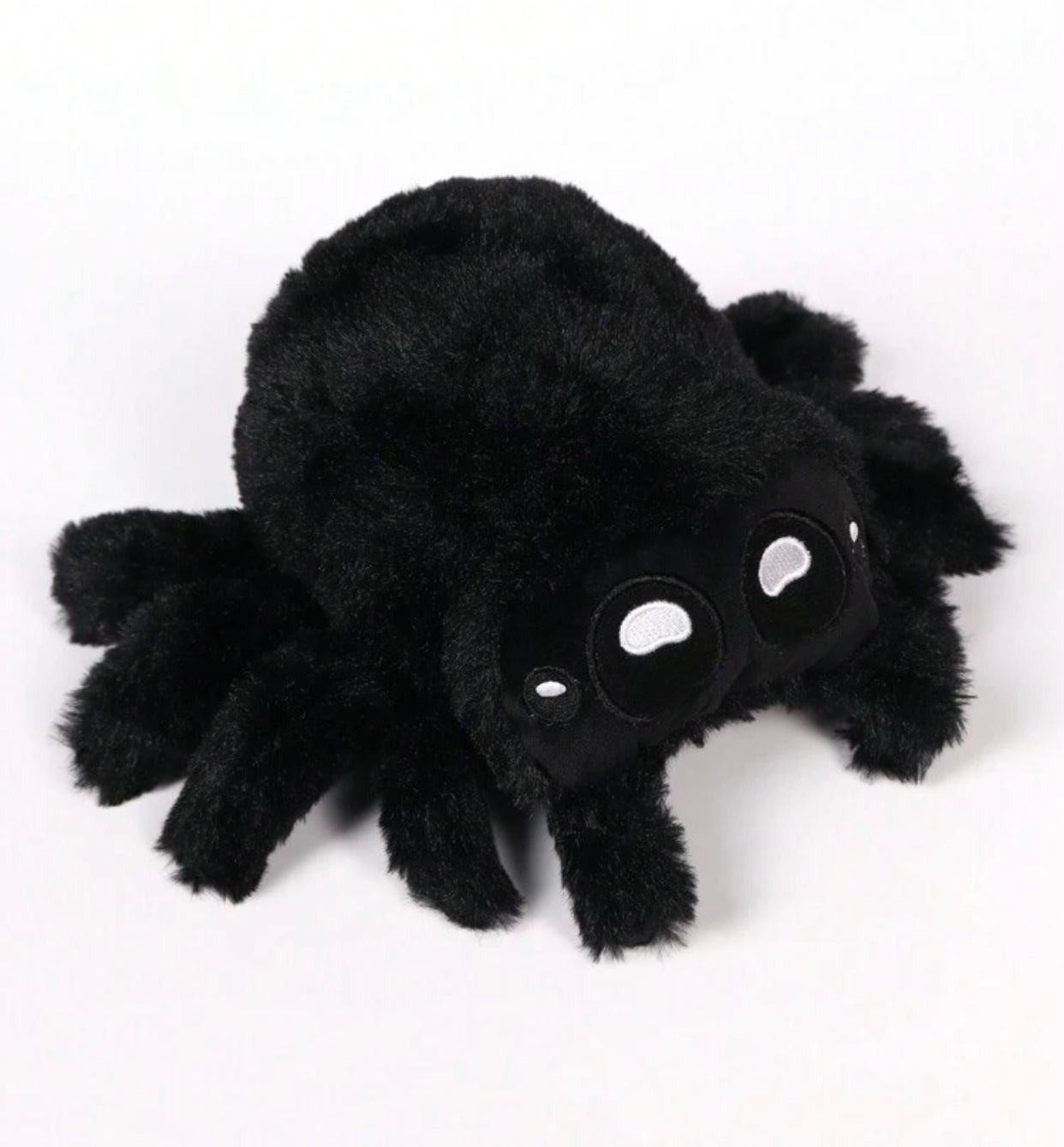 Peluche phidippus regius