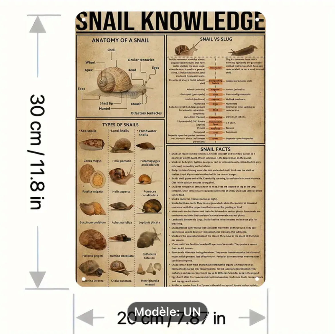 Plaque métallique vintage snail knowledge