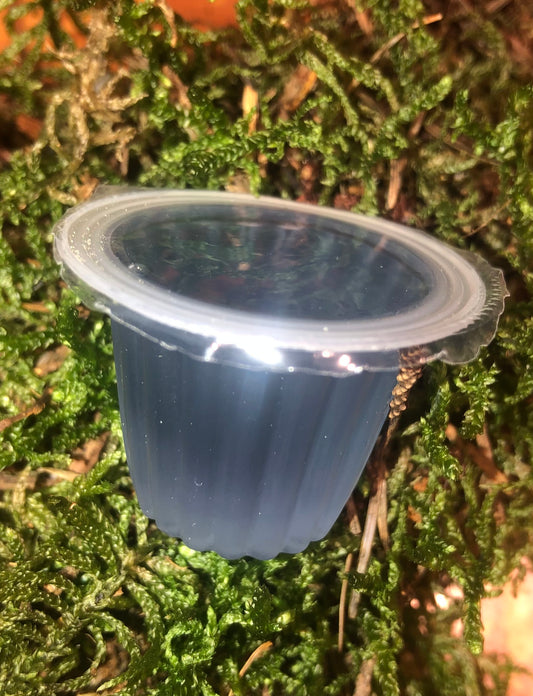 Beetle Jelly Myrtille