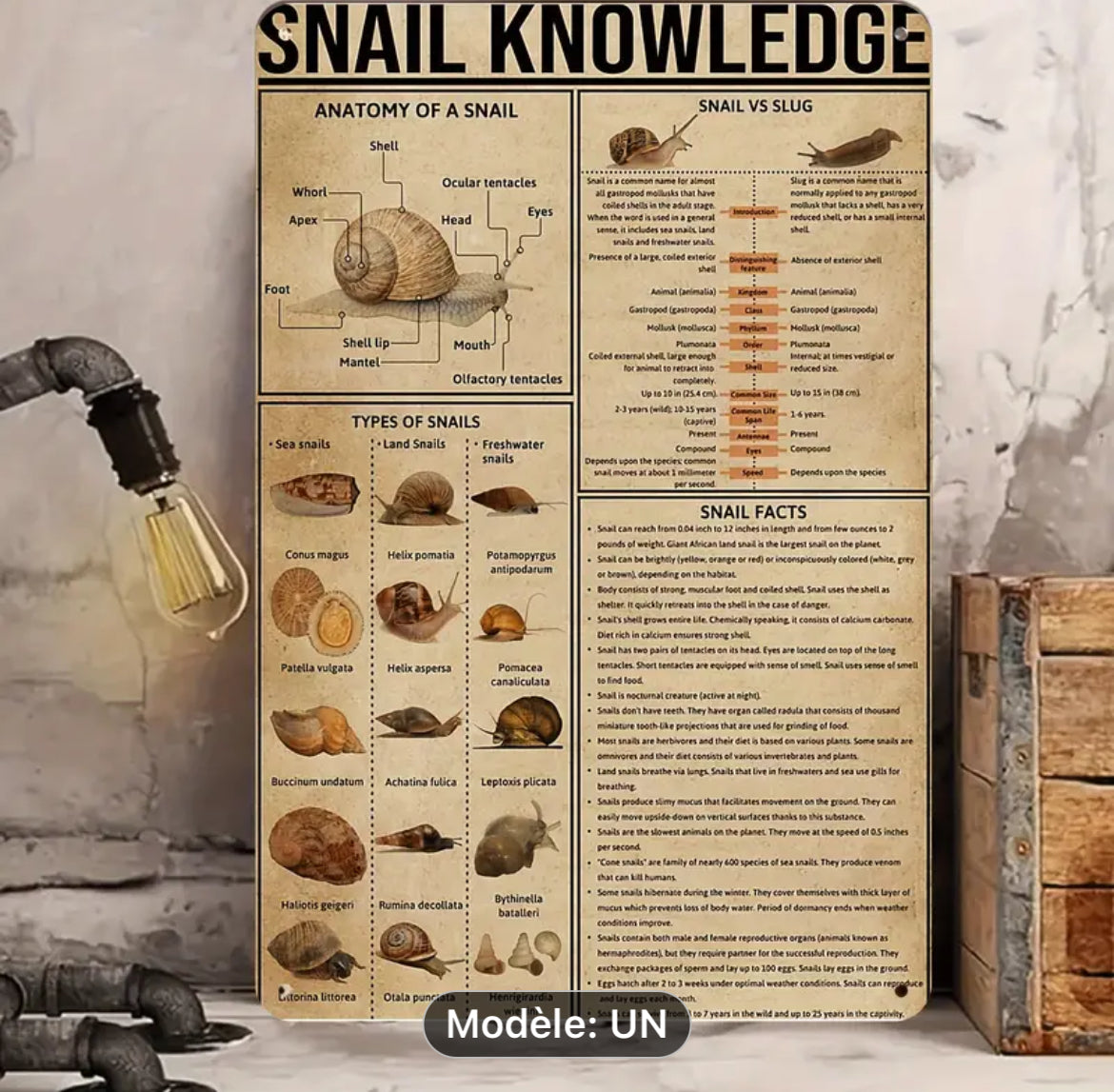 Plaque métallique vintage snail knowledge