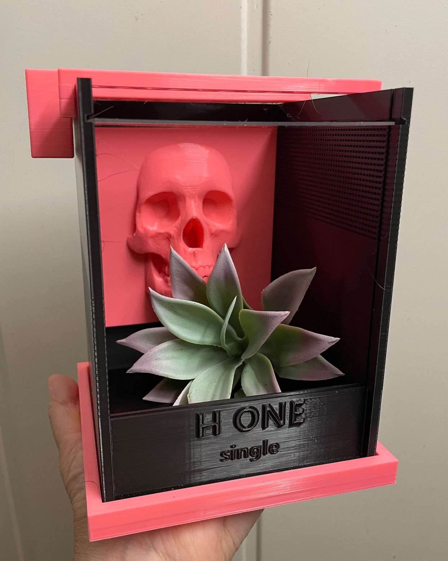 Terrarium " H one ' Single pour phidippus régius