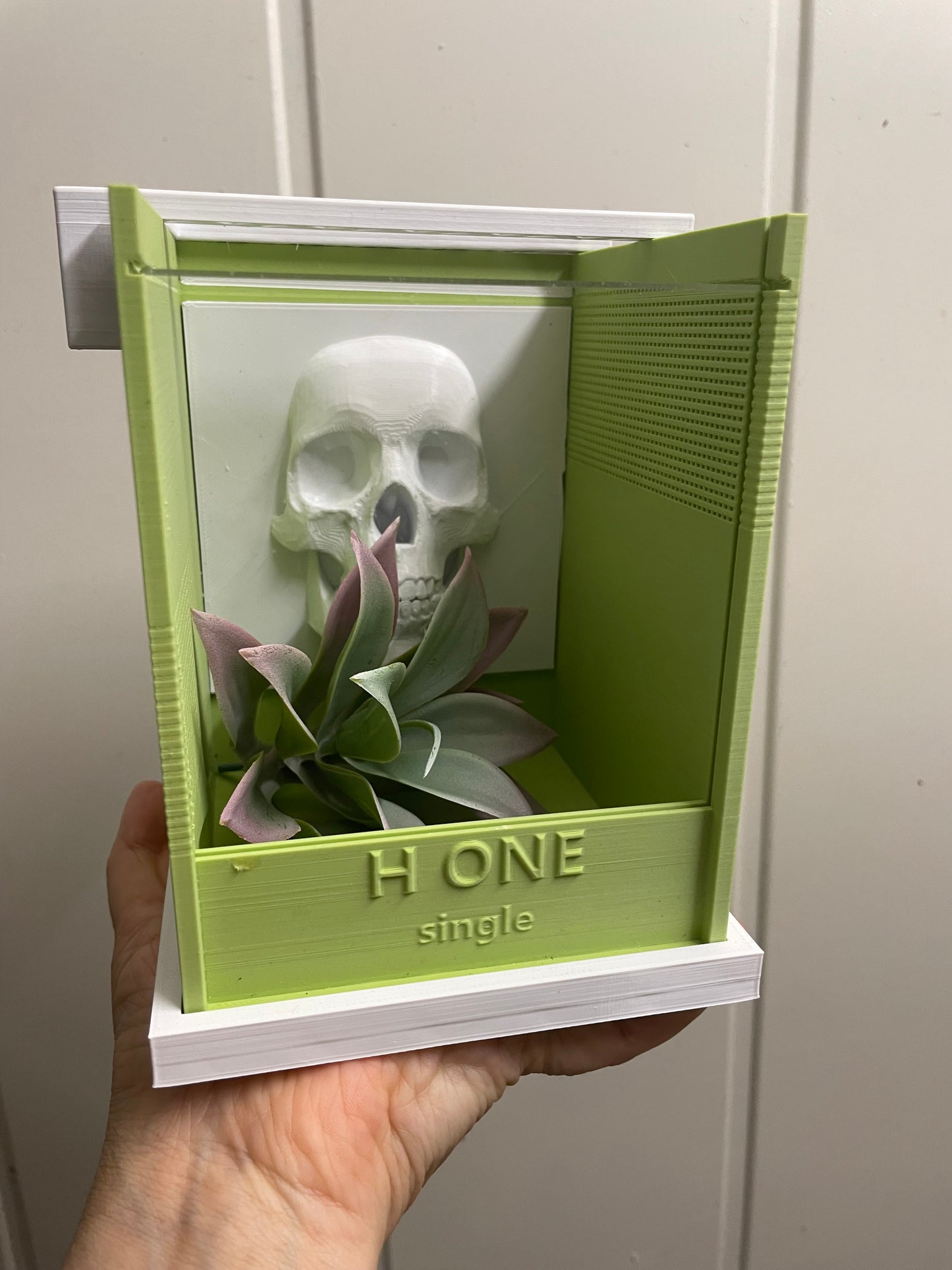 Terrarium " H one ' Single pour phidippus régius