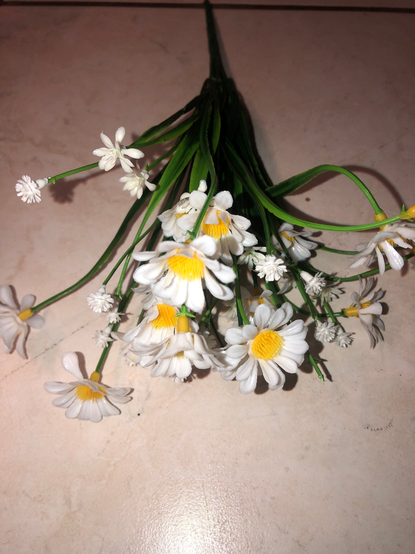 fausses plantes marguerites